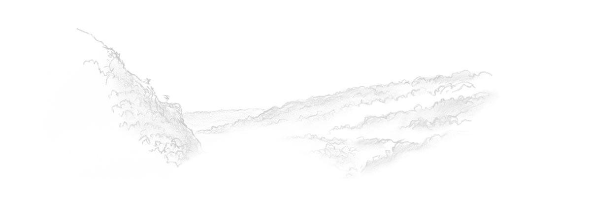 Fond Fromagerie Le Pic