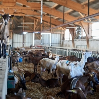 GAEC des Collines - 1