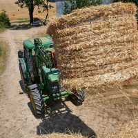 EARL Les Biquets de Conté Haut - 1