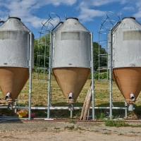 GAEC des Blancs de Quercy - 1