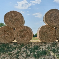 GAEC des Blancs de Quercy - 2
