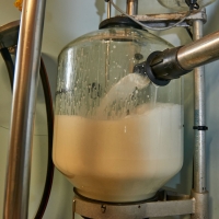 EARL de la Calmette - 3