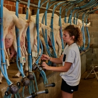 GAEC Honnoré-Quenton - 2