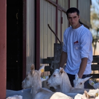 GAEC Camp de la Barraque - 3