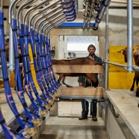 EARL de Rougeaires - 4