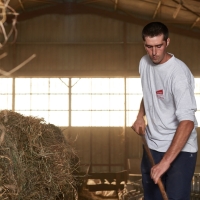 GAEC Camp de la Barraque - 5