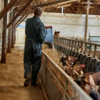 EARL de Rougeaires - 10