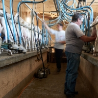 GAEC Camp de la Barraque - 6