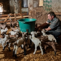 GAEC des Collines - 4