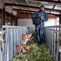 EARL de Rougeaires - 5