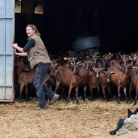 La Chèvre d'Autan - 6