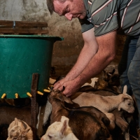 GAEC des Collines - 6