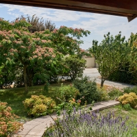 EARL Les Biquets de Conté Haut - 6