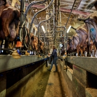 GAEC de l'Amalthée - 5