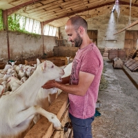 GAEC Honnoré-Quenton - 5