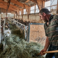 GAEC des Collines - 7