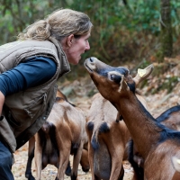 La Chèvre d'Autan - 7