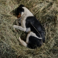 GAEC des Collines - 9