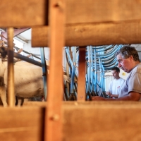 GAEC Camp de la Barraque - 9