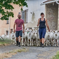 GAEC Honnoré-Quenton - 8