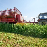 GAEC de l'Amalthée - 10