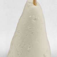 Le Bouton d'Oc - Gros plan