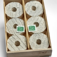 La Couronne Cendrée - Cagette