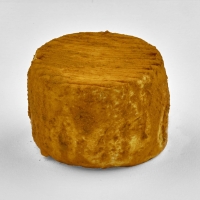 Le Crottin - Curcuma