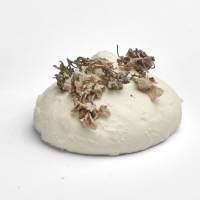 La Meringue - Violette