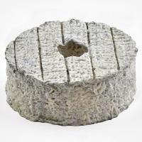 Rouelle Cendrée - 2