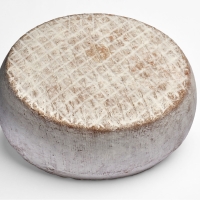 La Tome du Segala - 2