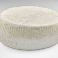 La Tome Lou Pennol - Fraiche