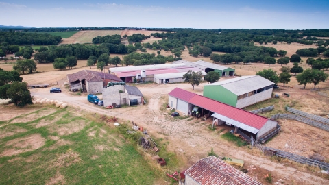 EARL Ceretta - Vue aérienne