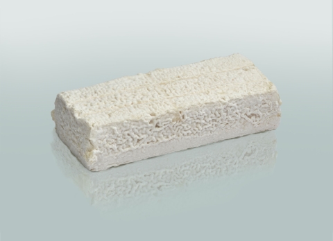 La Brique Albigeoise