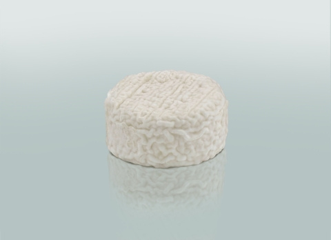 Le Cabécou - Pasteurisé