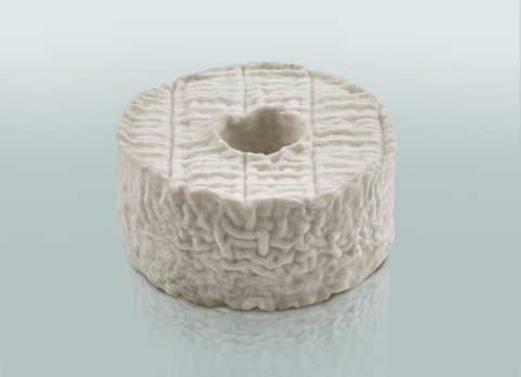 La Petite Rouelle Blanche - Pasteurisé